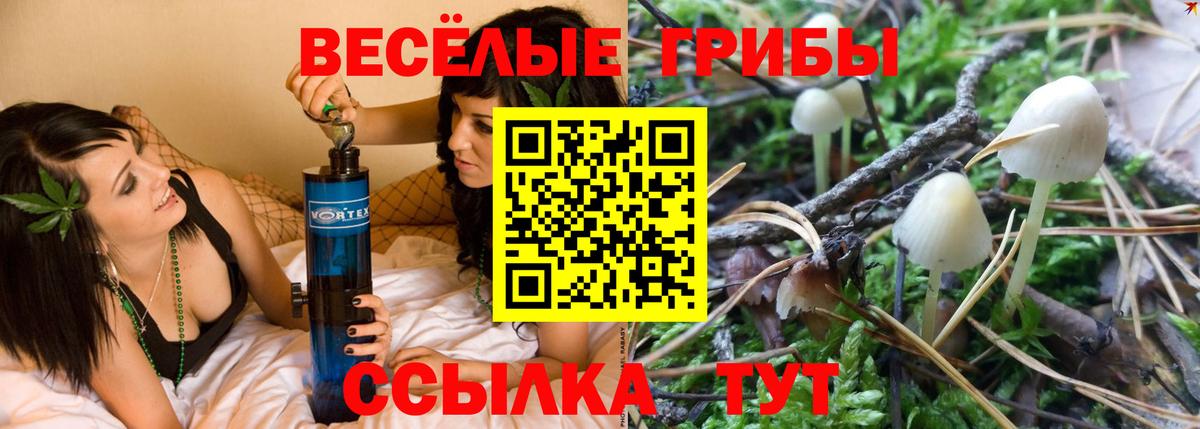 наркошоп  Псилоцибиновые грибы мухоморы  Вход с VPN  Строитель 