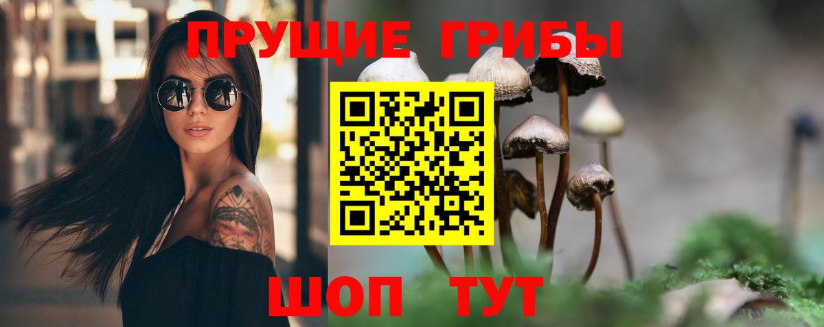 Псилоцибиновые грибы MAGIC MUSHROOMS Строитель